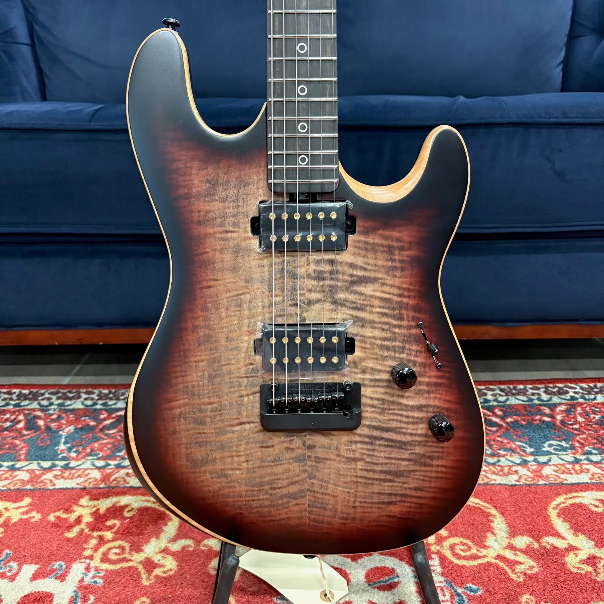 Rabea HH Sabre Vileblood_Burst | Crossroad Music Canada | Crossroad Music